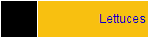 Lettuce
